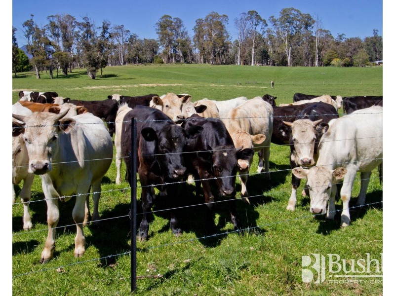 40 Dunhams Road, Deloraine TAS 7304