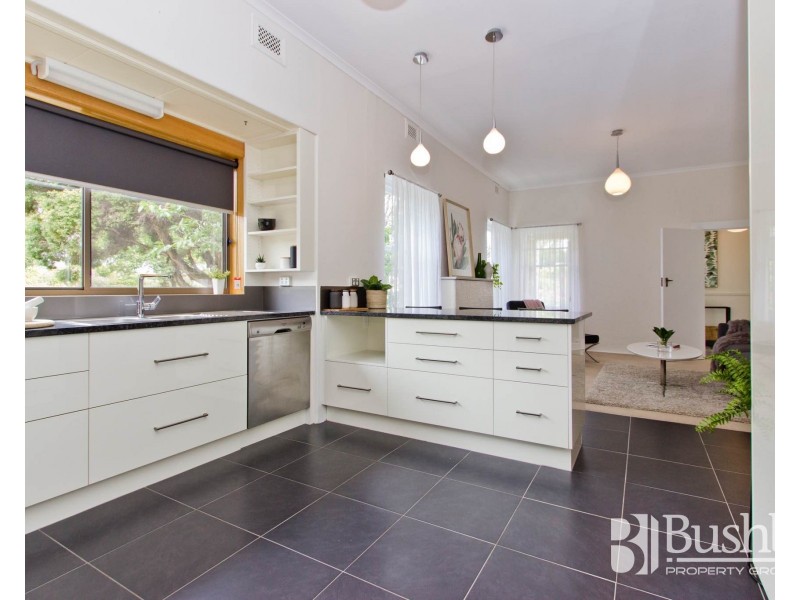 65 Wentworth Street, Newstead TAS 7250