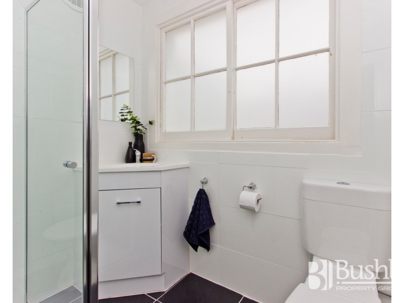 65 Wentworth Street, Newstead TAS 7250