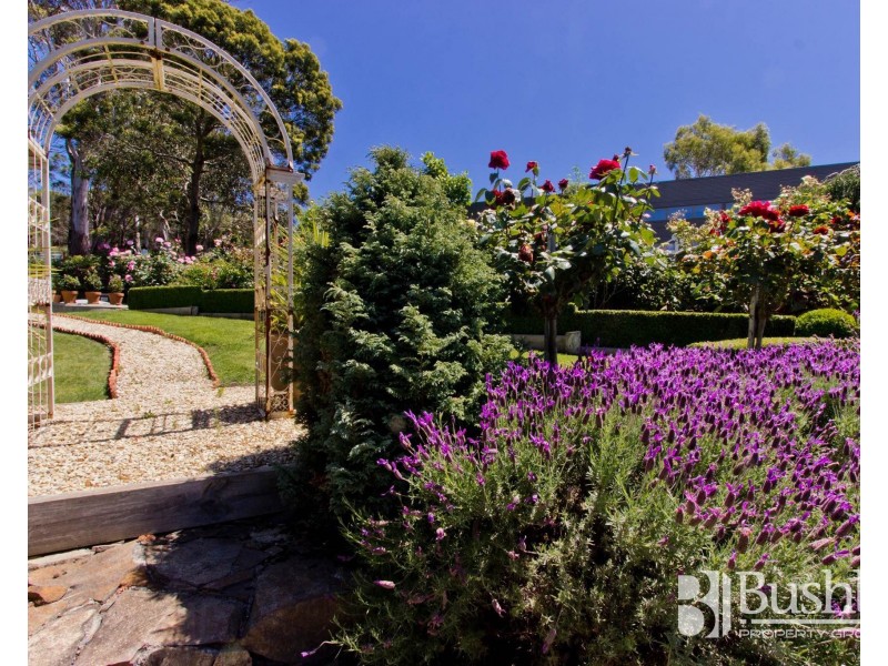 109 Rowella Road, Sidmouth TAS 7270