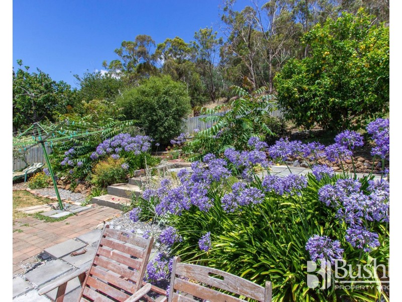 37 Heather Street, South Launceston TAS 7249