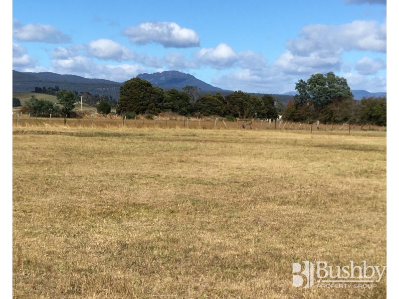 59 Veterans Row, Westbury TAS 7303