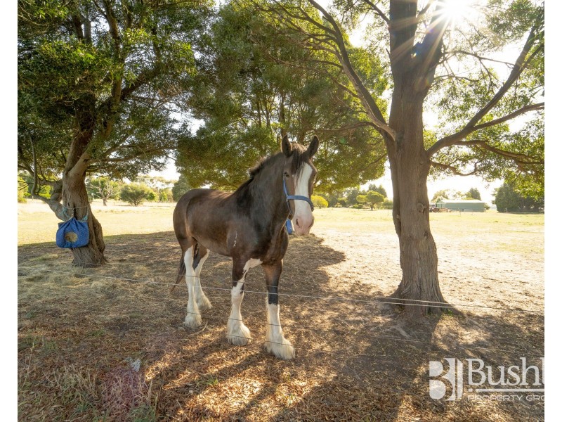 76 Nobelius Drive, Legana TAS 7277