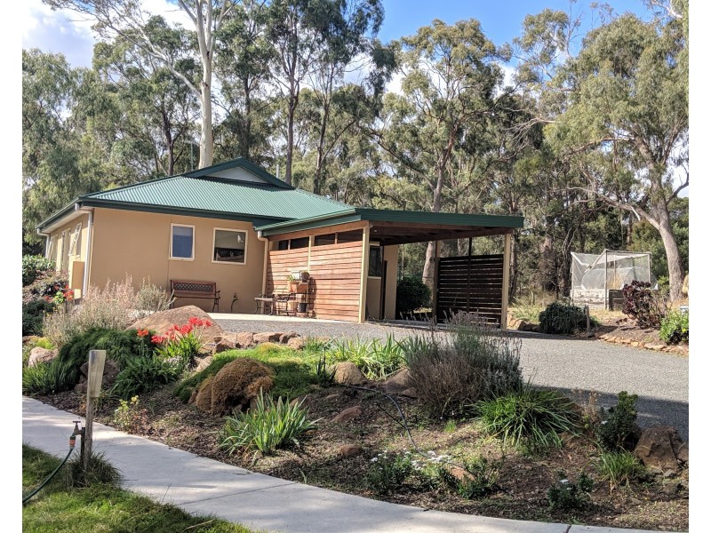 1 Rowsphorn Road, Riverside TAS 7250