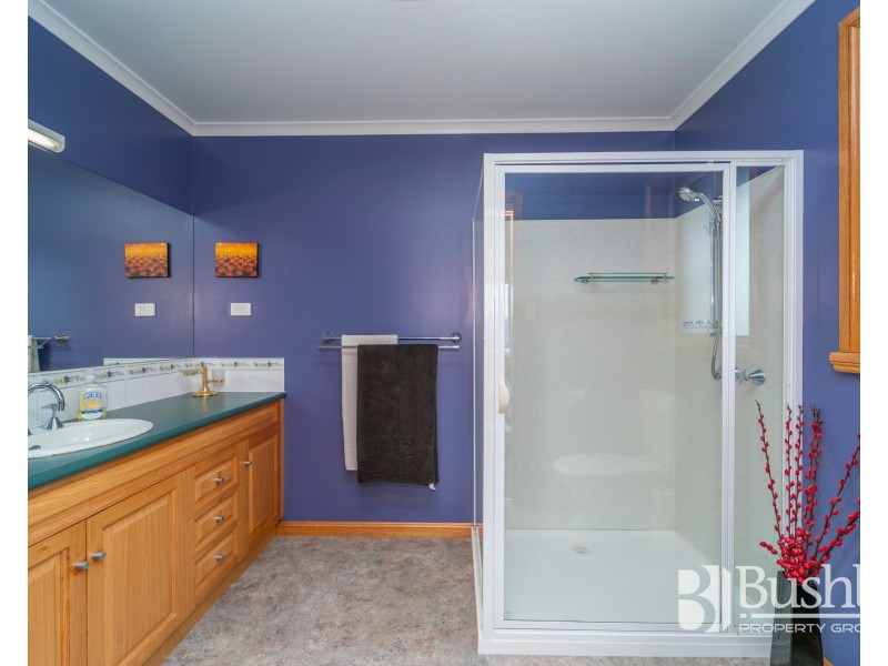 21 Allison Avenue, Riverside TAS 7250