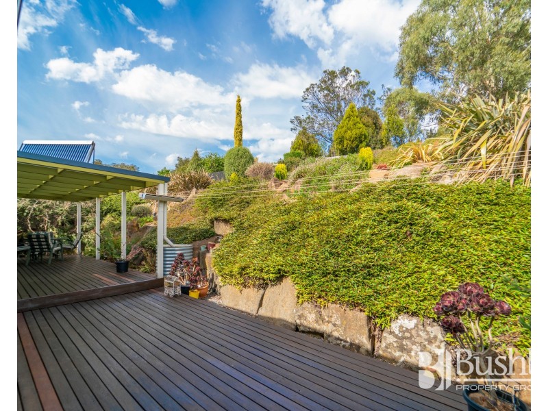 21 Allison Avenue, Riverside TAS 7250