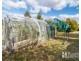 19 Parklands Parade, Newnham TAS 7248