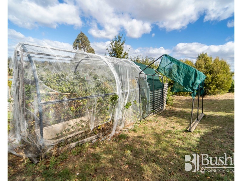 19 Parklands Parade, Newnham TAS 7248