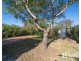 21 Waugh Street, Invermay TAS 7248