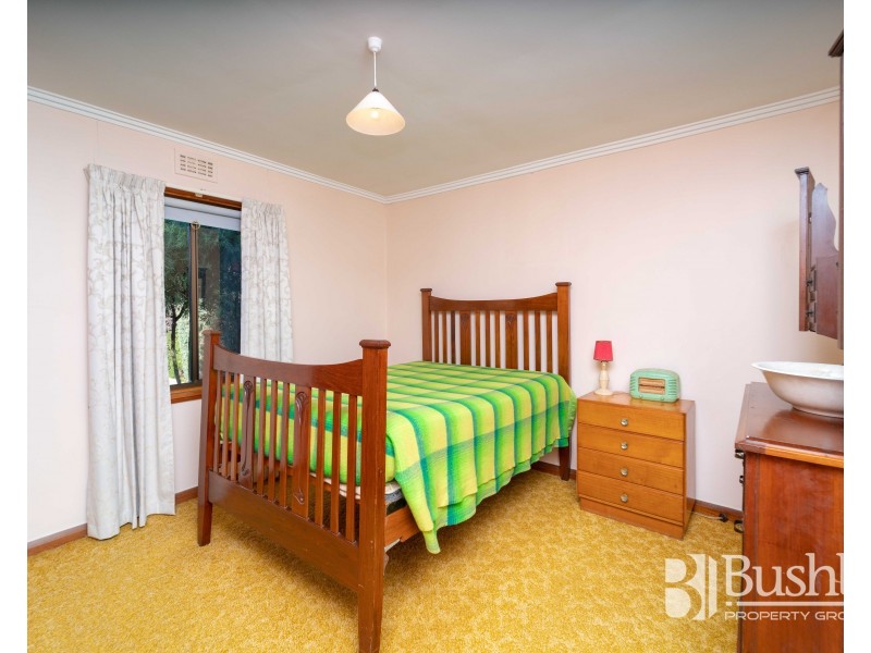 30 Birch Avenue, Newstead TAS 7250
