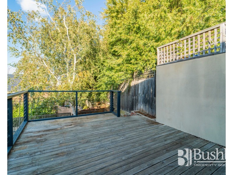 16 Elphin Road, Launceston TAS 7250