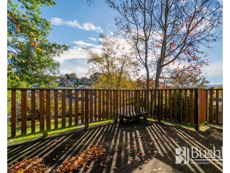 25 Punchbowl Road, Punchbowl TAS 7249