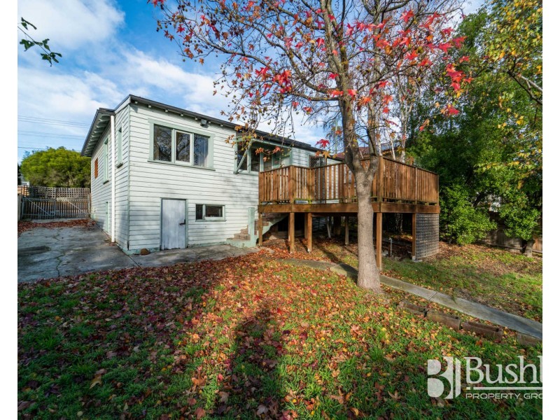 25 Punchbowl Road, Punchbowl TAS 7249