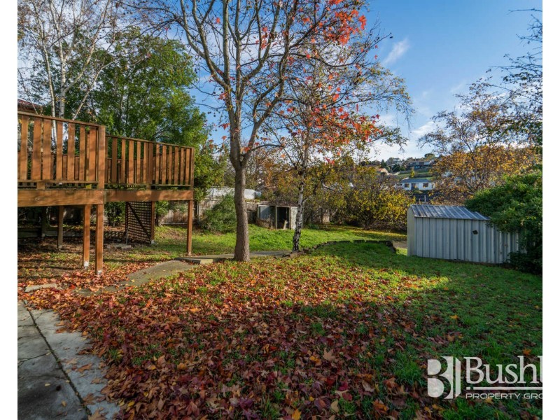 25 Punchbowl Road, Punchbowl TAS 7249