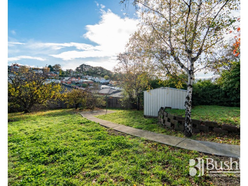 25 Punchbowl Road, Punchbowl TAS 7249