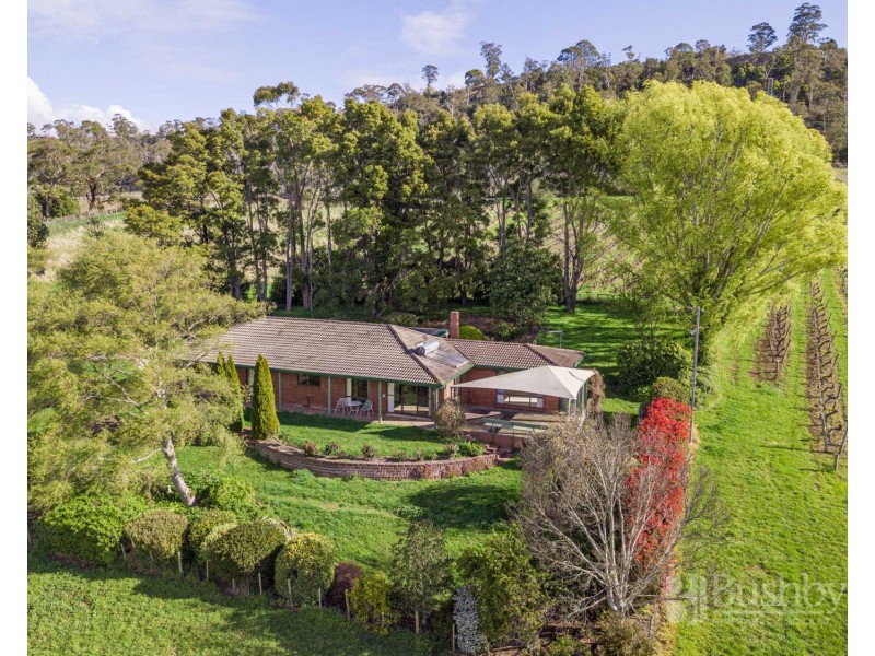 111 Rosevears Drive, Rosevears TAS 7277