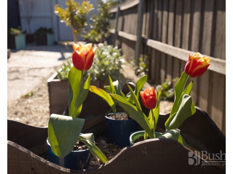129 Hargrave Crescent, Mayfield TAS 7248