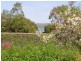 225 Gravelly Beach ROAD, Gravelly Beach TAS 7276