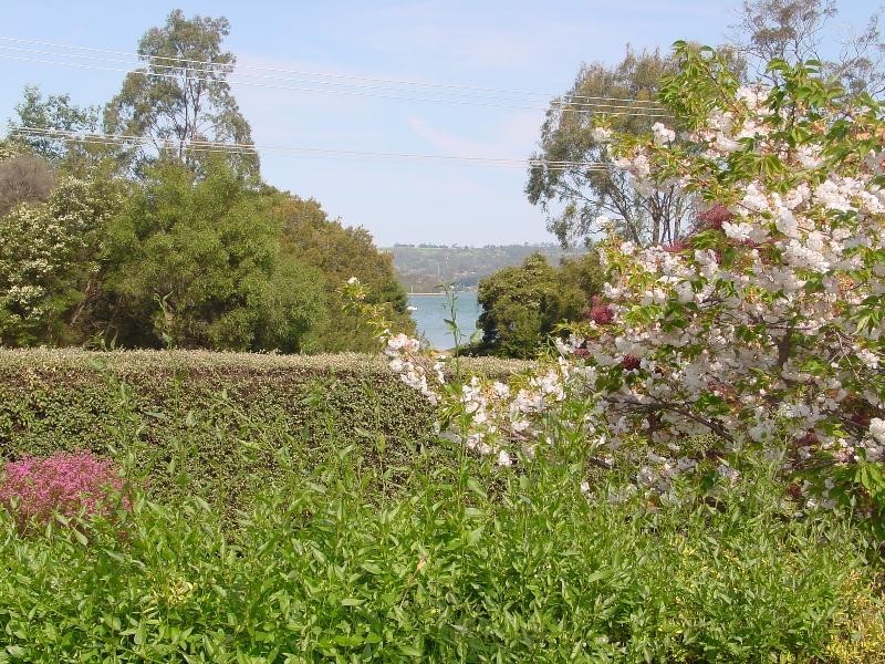 225 Gravelly Beach ROAD, Gravelly Beach TAS 7276