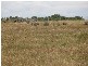 Lot 1 Esk Main Road, Avoca TAS 7213