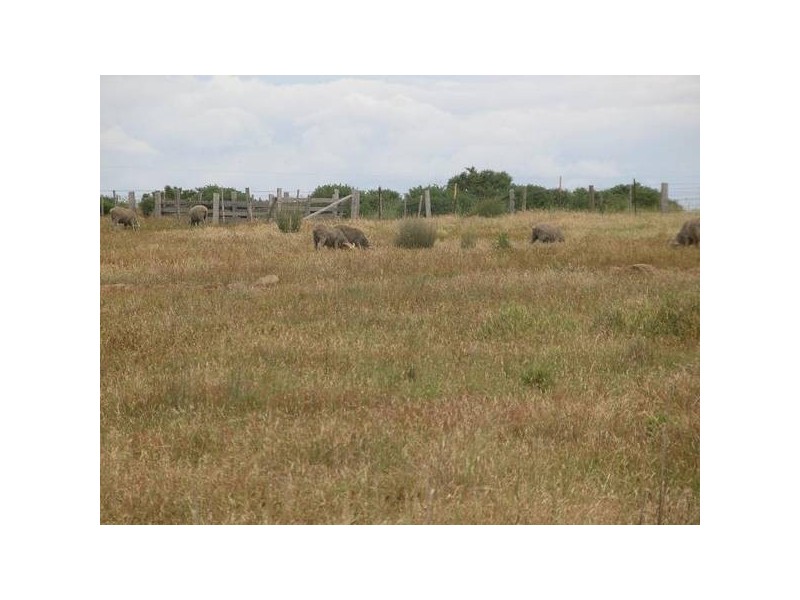 Lot 1 Esk Main Road, Avoca TAS 7213