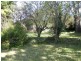 13 Gorge ROAD, Trevallyn TAS 7250