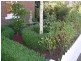 98 Balfour Street, Launceston TAS 7250