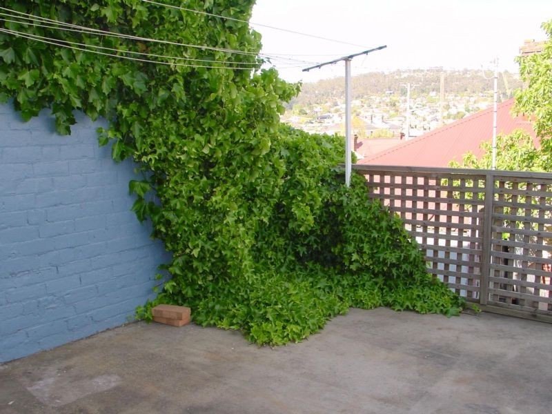 238 Charles Street, Launceston TAS 7250