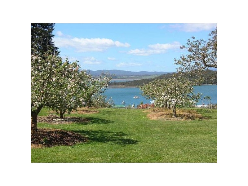 77 Flinders Street – Wonderful River and Mountain Views, Beauty Point TAS 7270