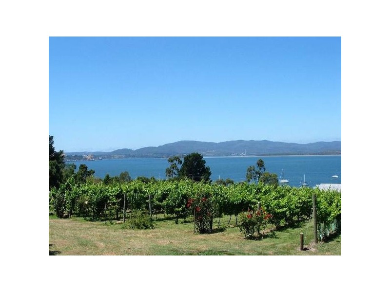 77 Flinders Str.
Wonderful River and Mountain Views, Beauty Point TAS 7270