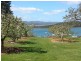 77 Flinders St. Wonderful River and Mountain Views, Beauty Point TAS 7270