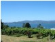 77. Flinders Street. Wonderful River and Mountain Views, Beauty Point TAS 7270