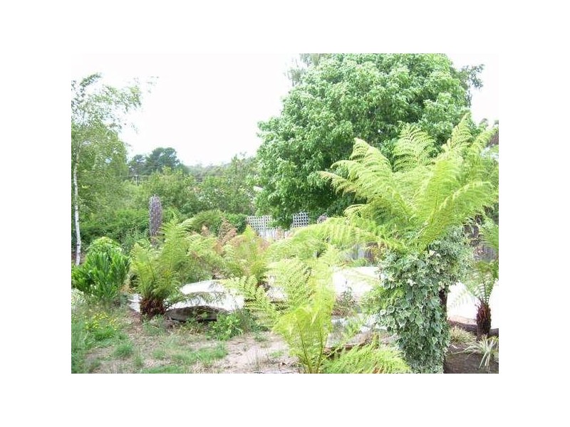 15 Blamey Road, Punchbowl TAS 7249