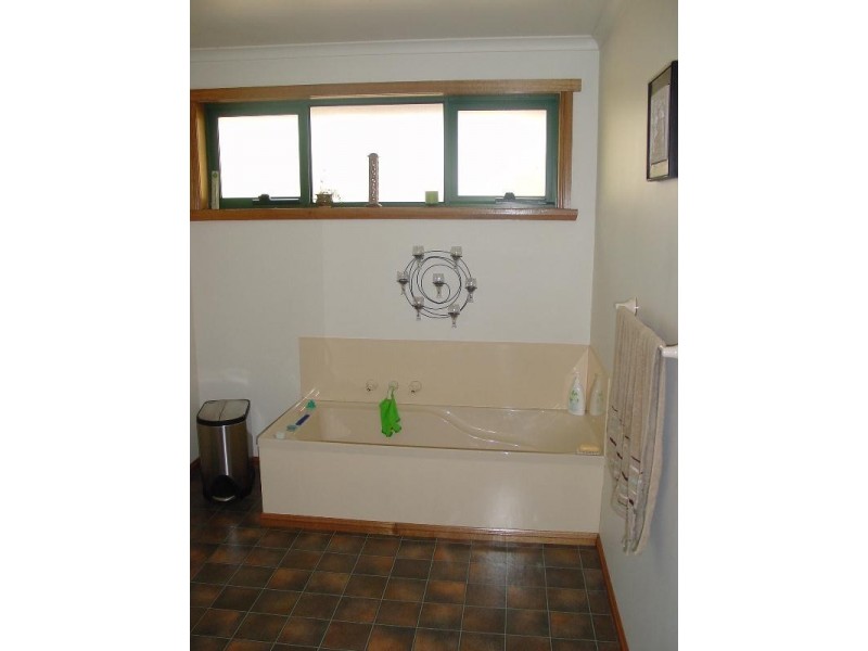 15 Fort Street, Riverside TAS 7250