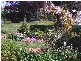 24 Pomona Road, Riverside TAS 7250