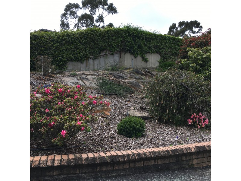 19 Outram Street, West Launceston TAS 7250