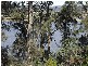 13. Rostella Rd., Dilston TAS 7252
