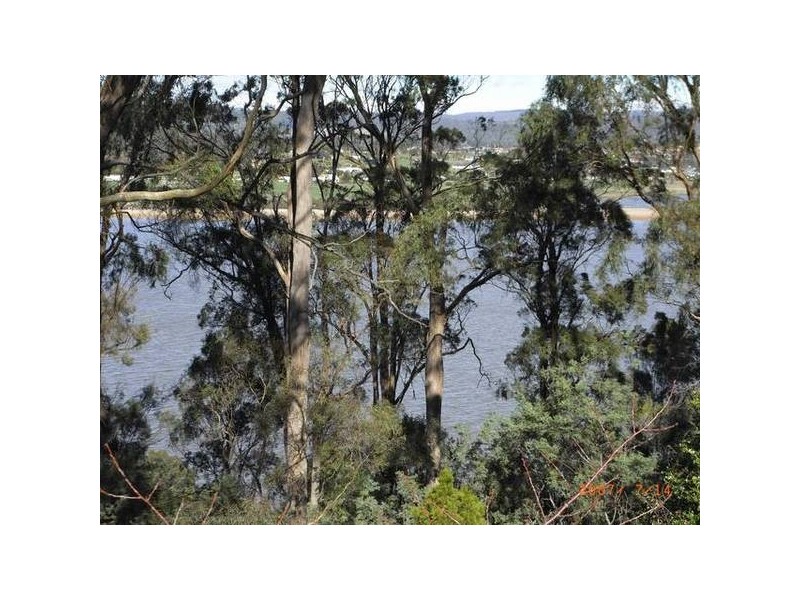13. Rostella Rd., Dilston TAS 7252