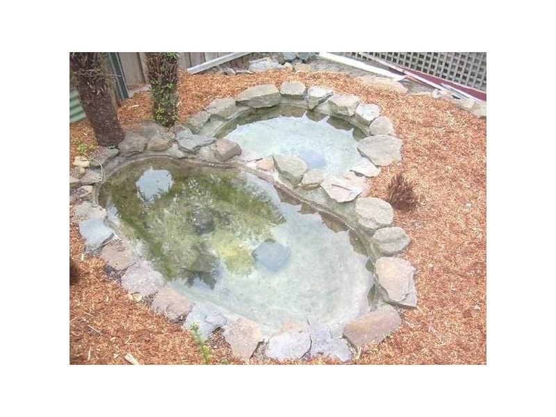 West Tamar Road, Riverside TAS 7250