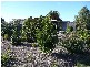 20 Archer Street, Beaconsfield TAS 7270