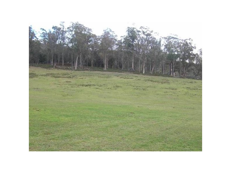 322 Flowery Gully Road, Flowery Gully TAS 7270