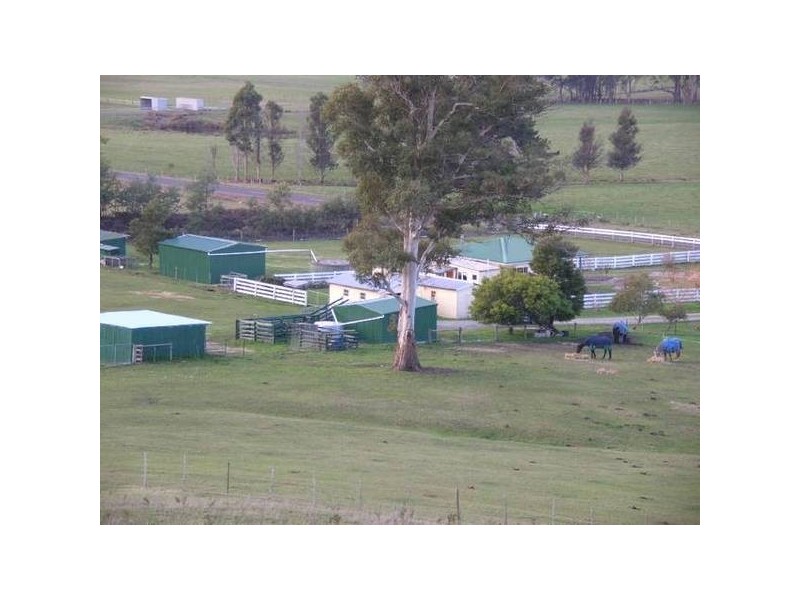 322 Flowery Gully Road, Flowery Gully TAS 7270