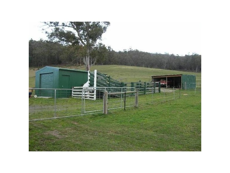 322 Flowery Gully Road, Flowery Gully TAS 7270