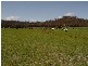 76. Meander Valley Road, Meander TAS 7304