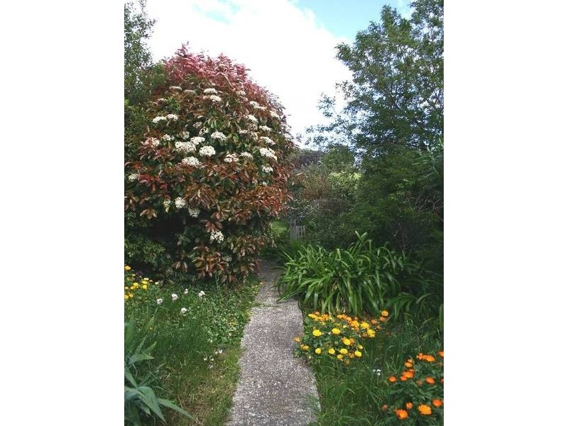 15 Dorset Place, Kings Meadows TAS 7249