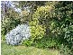 15 Dorset Place, Kings Meadows TAS 7249