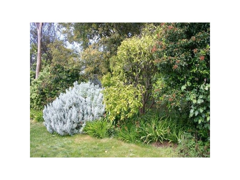 15 Dorset Place, Kings Meadows TAS 7249