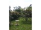 15 Dorset Place, Kings Meadows TAS 7249