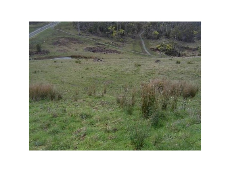 56. Sherborne Dr., Dilston TAS 7252