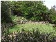 1 Howick Street, South Launceston TAS 7249